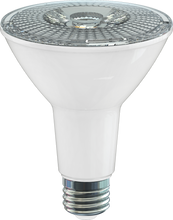 LED PAR30